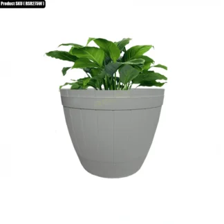 1 pcs Pot